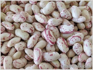 Kışlık Barbunya Tarifi ve Malzemeleri